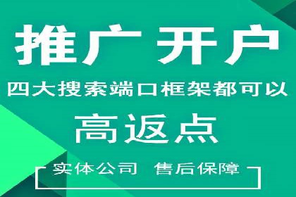 SEM外包公司案例分析：效果惊人